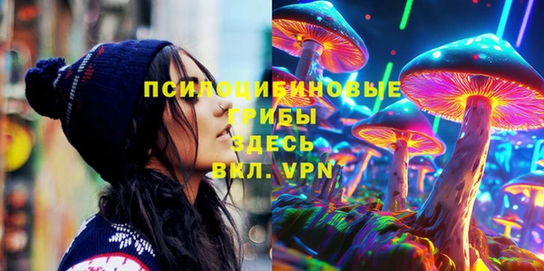 спайс Баксан
