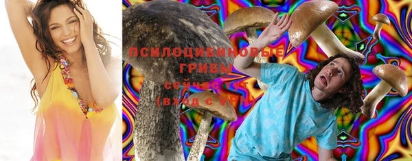 спайс Баксан