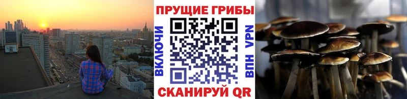 Псилоцибиновые грибы MAGIC MUSHROOMS  Рудня 